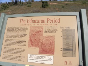 The Ediacaran Period