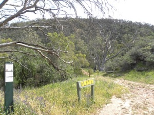 The approach to Mount Brown Conservation Park
