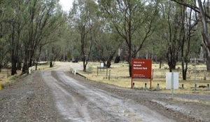 Entry to Barmah NP from Barmah township: about eight kilometres