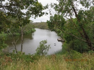 Glenelg River - Moleside