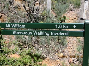 The start on the walking trail to the Mount William summit