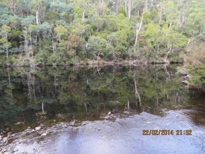 Reflections at a water hole: a river crossing in the Park