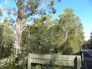 Beehive Falls turn-off at Coopracambra National Park