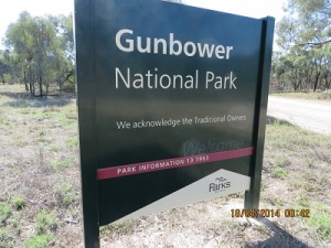 Gunbower National Park