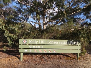 Kelly Hill Conservation Park 