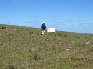 Mokota CP: no trees just grassland