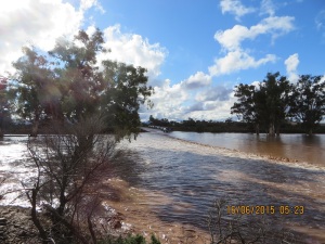 Warriota Creek in flood: VK5PAS got through but we were towing a trailer and decided to camp at Beltana