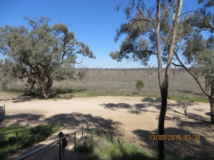 Looking across the flood plain to Murray River from the hotel